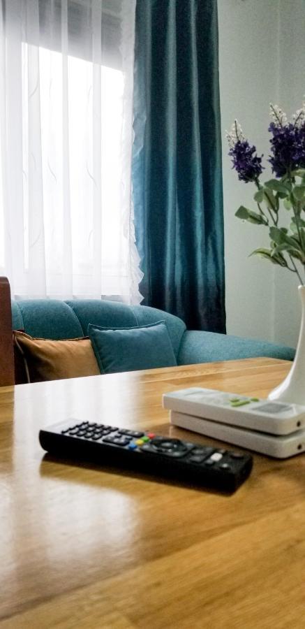 Spacious And Cozy Apartment - Ajia Apartment ティラナ エクステリア 写真