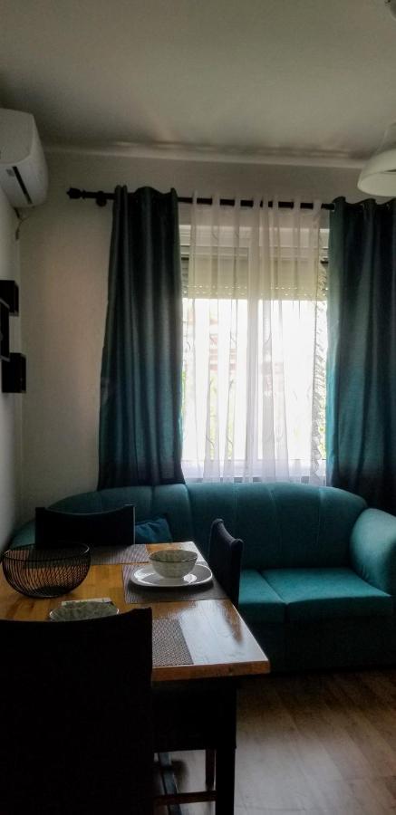 Spacious And Cozy Apartment - Ajia Apartment ティラナ エクステリア 写真