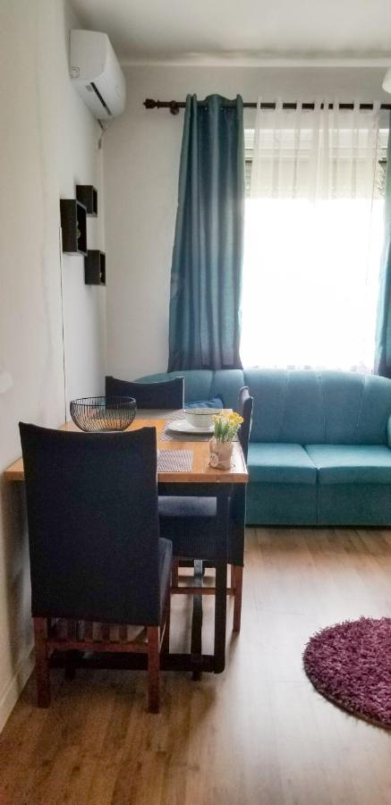 Spacious And Cozy Apartment - Ajia Apartment ティラナ エクステリア 写真